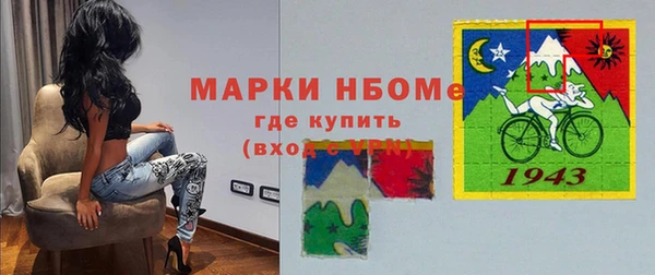 дживик Инта