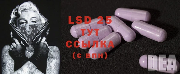 дживик Инта