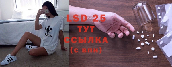индика Иннополис