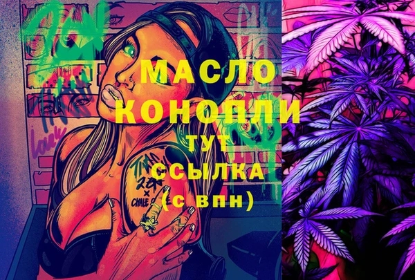дживик Инта