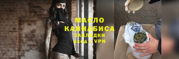 дживик Инта