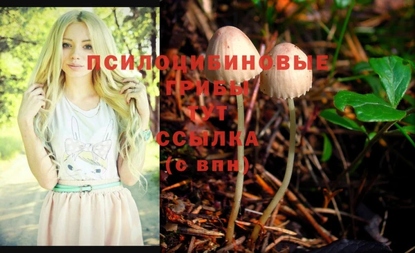дживик Инта