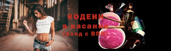 дживик Инта