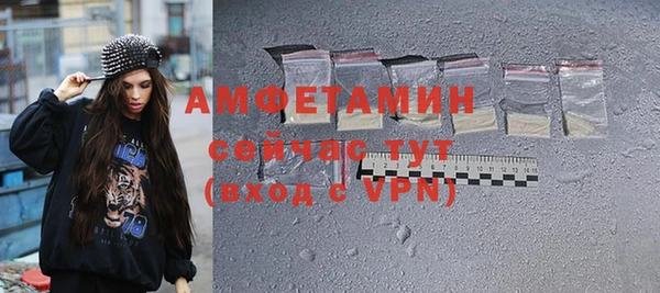 индика Иннополис