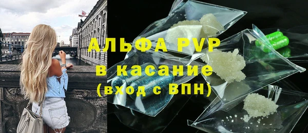 индика Иннополис