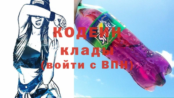 индика Иннополис