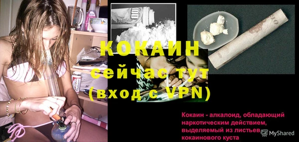 индика Иннополис