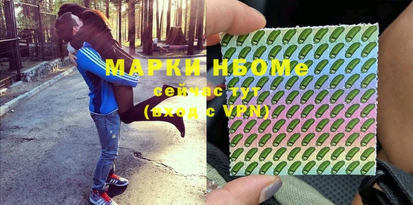 дживик Инта