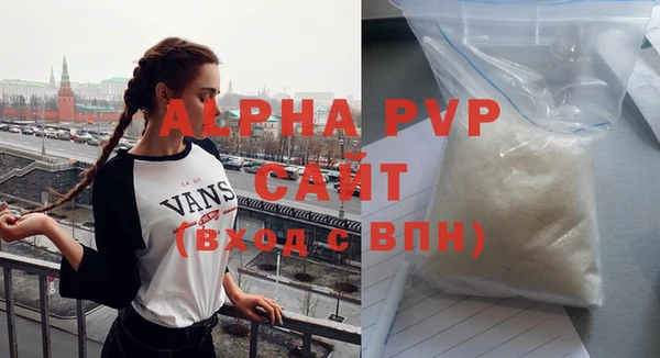 дживик Инта