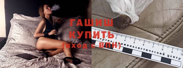 дживик Инта