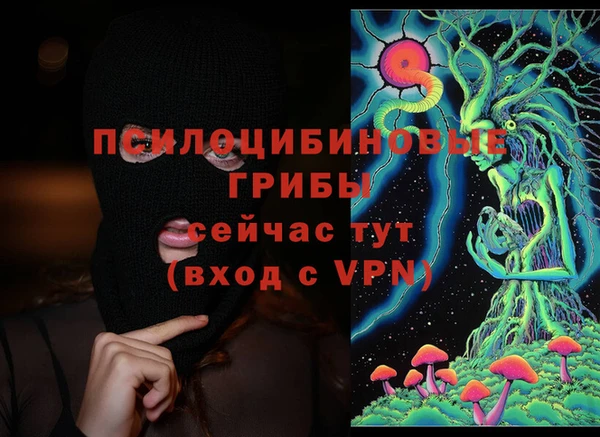 индика Иннополис