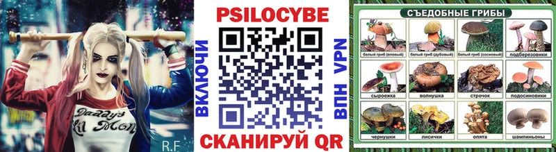 Купить где  Гаджиево  Галлюциногенные грибы Psilocybe 