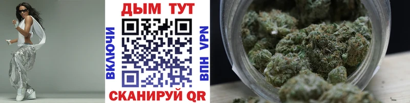 Купить где  Гаджиево  Канабис индика 